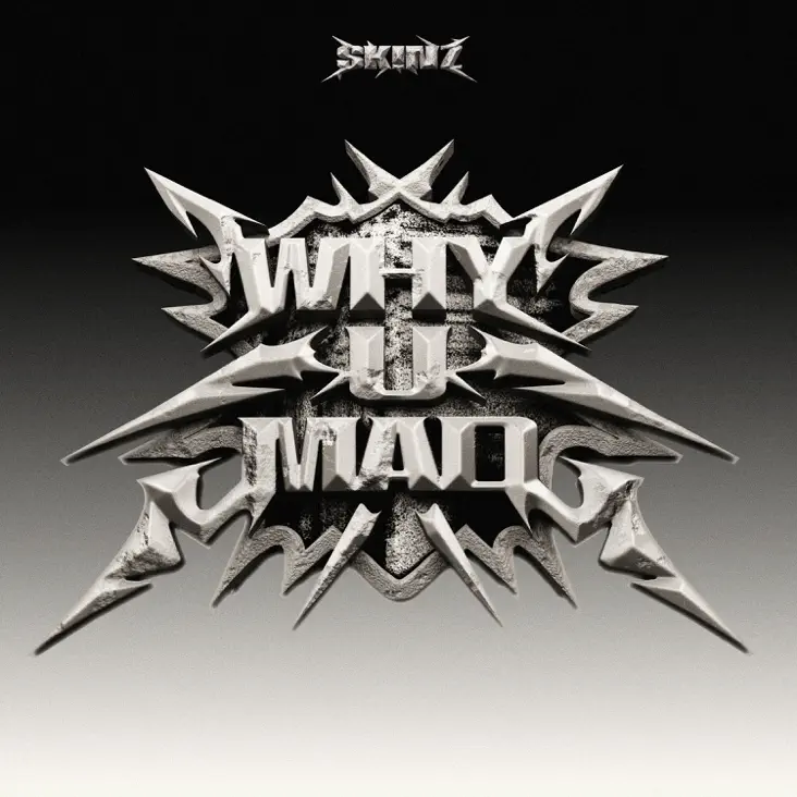 SKINZ 'WHY U MAD' album cover